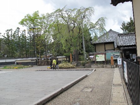 b0008205_11155693.jpg