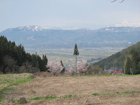 b0008205_11183643.jpg