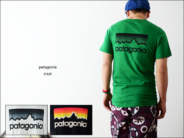 patagonia [パタゴニア正規代理店] MEN\'S LINE LOGO T-SHIRTロゴTシャツ [51536] MEN\'S_f0051306_20521635.jpg