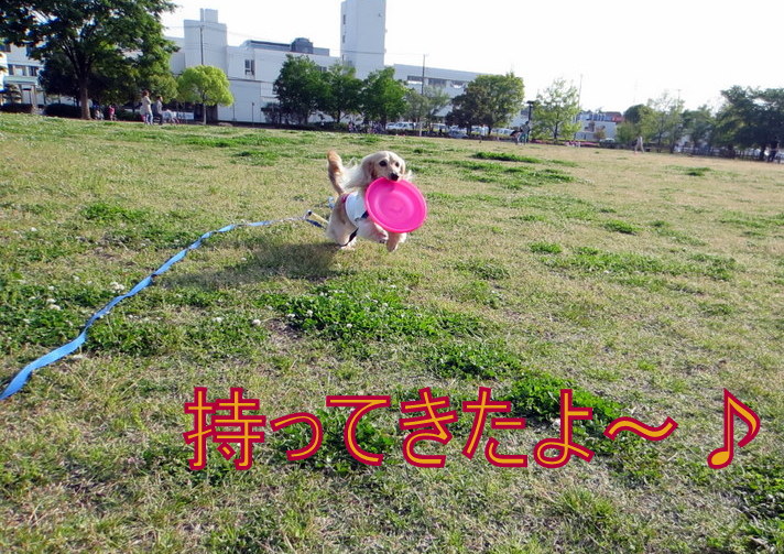f0224506_20139.jpg