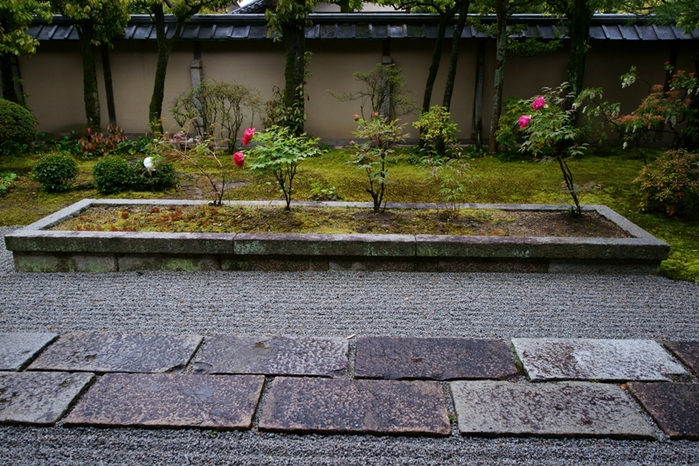 妙心寺　大心院_e0177413_2255793.jpg