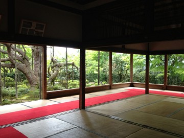 京都散策 1_e0029115_17241537.jpg