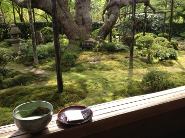 京都散策 1_e0029115_17541433.jpg