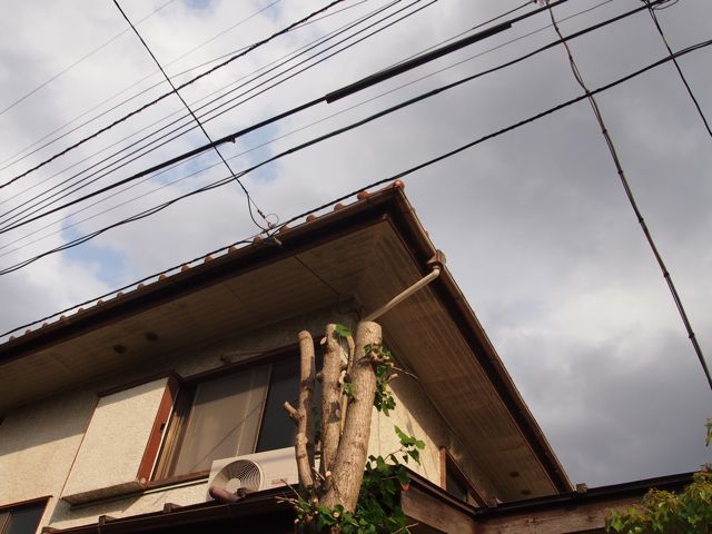 f0217617_12194941.jpg