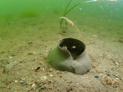 地元の海といえば「大阪湾」_a0104720_23103673.jpg