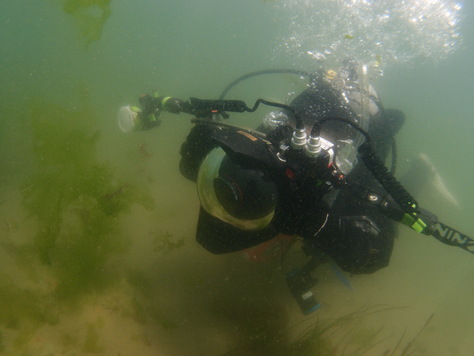 地元の海といえば「大阪湾」_a0104720_23152019.jpg