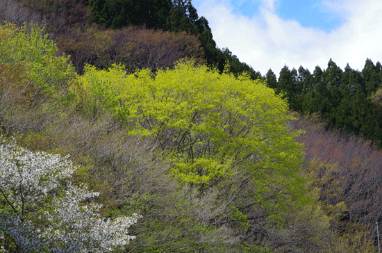 f0232920_1657969.gif