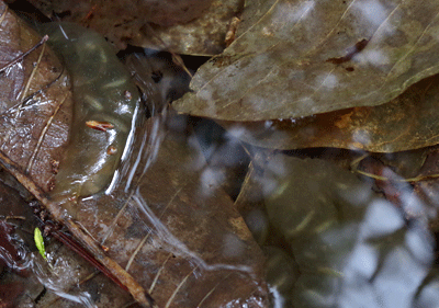 f0232920_16583094.gif