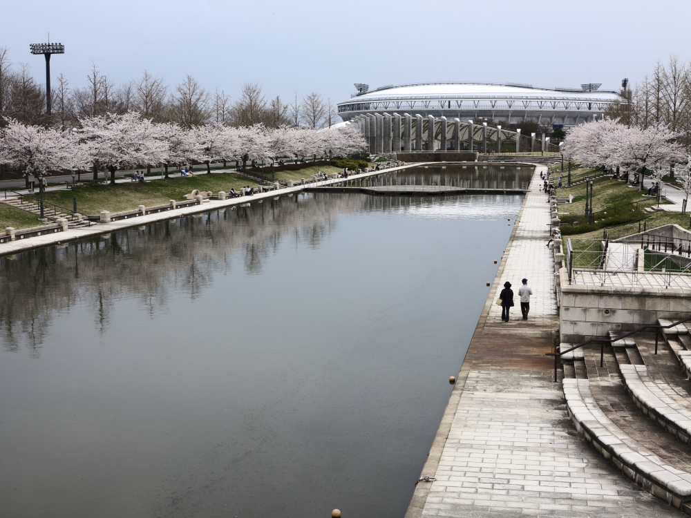 桜咲く公園２_e0169421_1738505.jpg