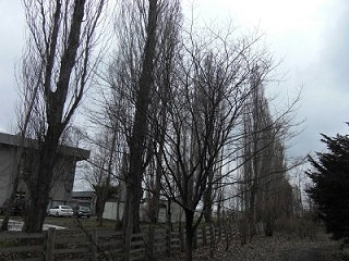 b0144125_1247258.jpg