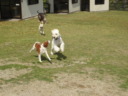 c0254426_011259.gif