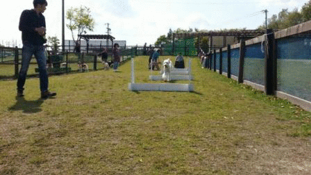 c0254426_0183976.gif