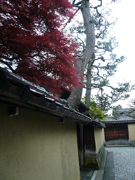 c0226331_95276.jpg