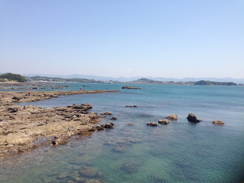 代打3日目です_d0085634_13365971.jpg