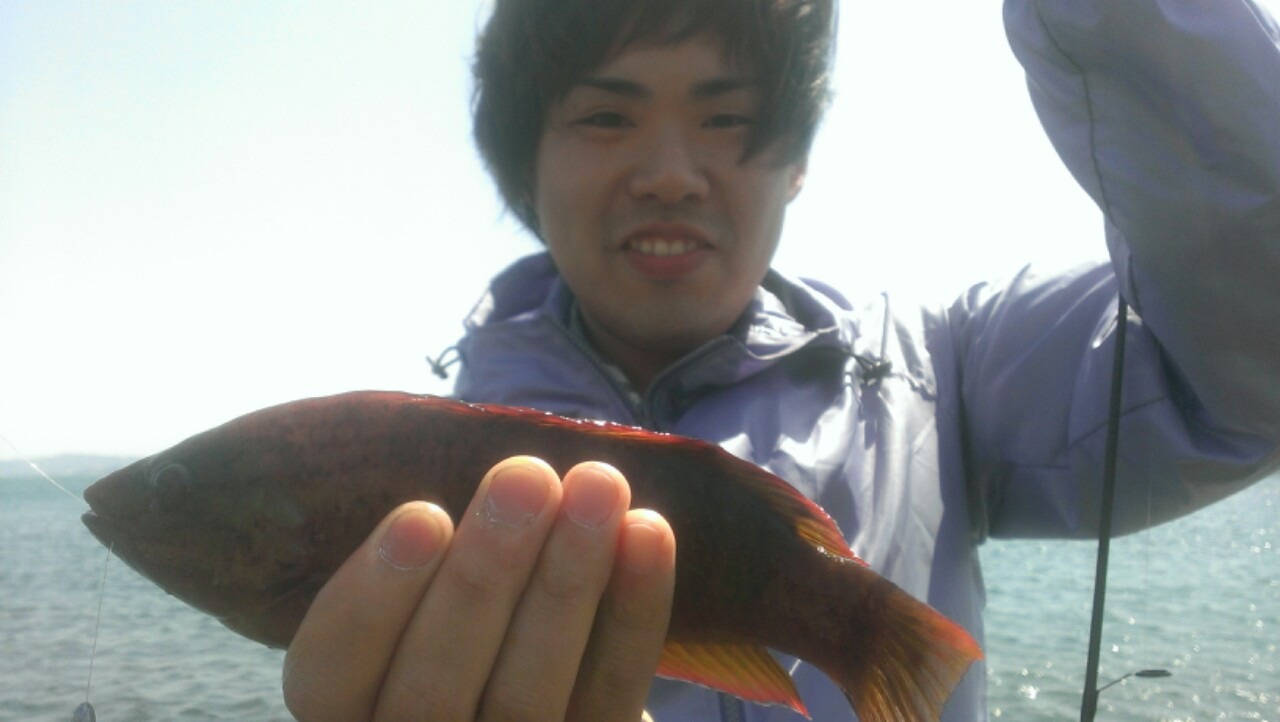代打3日目です_d0085634_13443639.jpg