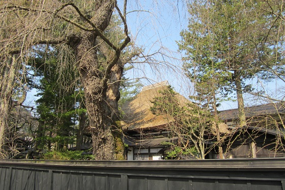 e0291638_91611.jpg