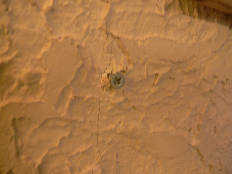d0163941_1145836.jpg