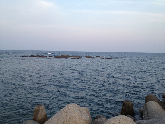 e0018843_28447.jpg