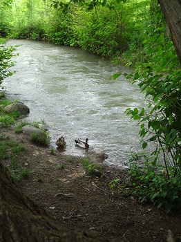 e0312749_16553540.jpg