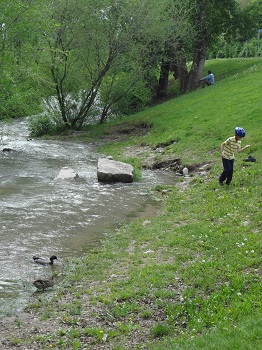 e0312749_1734896.jpg