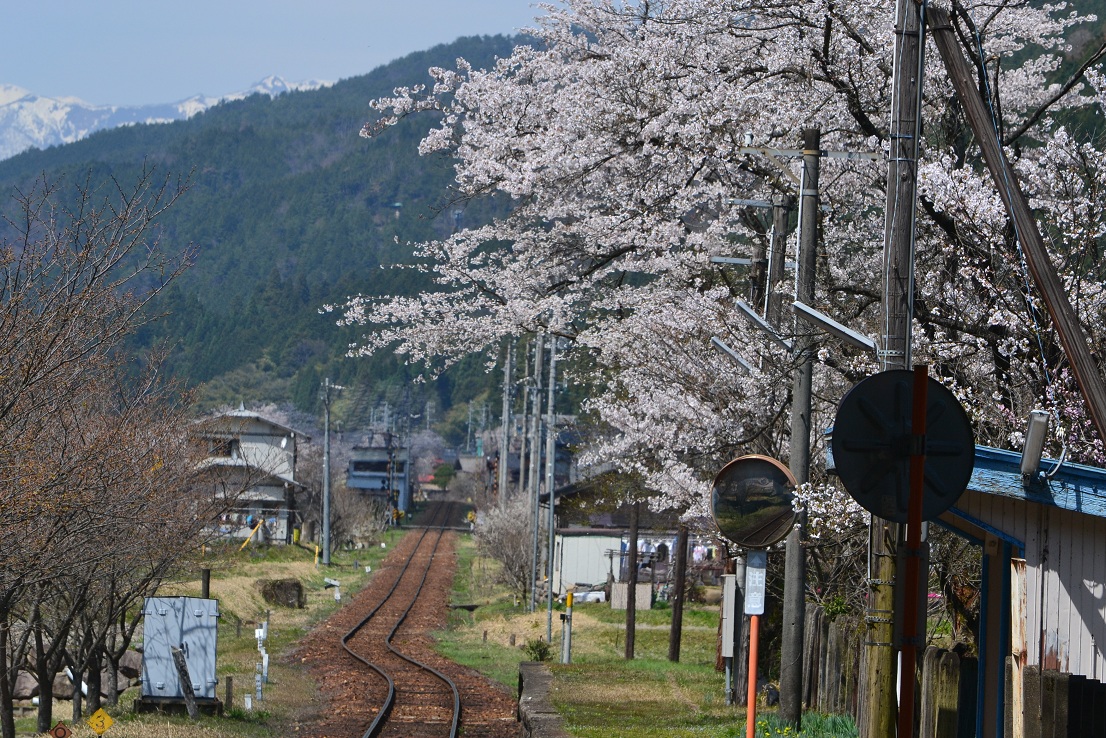 春のローカル鉄道旅2014。 その2_a0055650_7142241.jpg