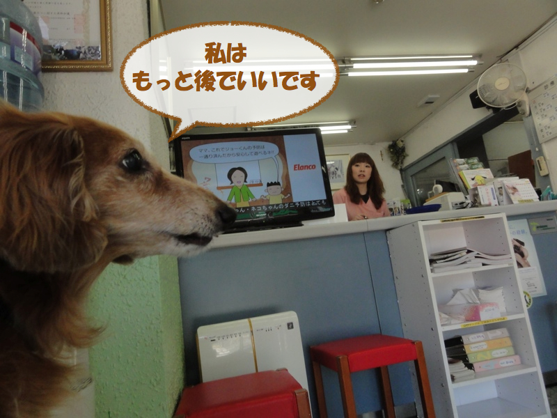 c0121550_12354793.jpg