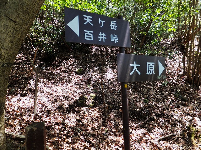 d0048350_2143145.jpg