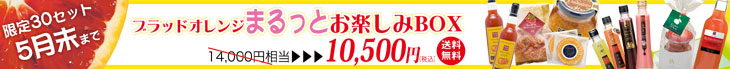 新もの製品販売開始!ブラッドオレンジフェア_e0268453_13424746.jpg