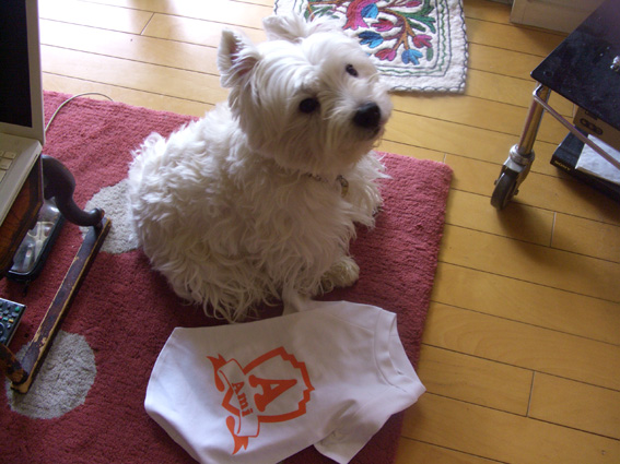 入らない事件!?_b0107163_2363477.jpg