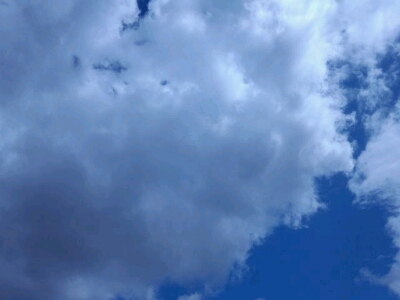 b0284269_1346837.jpg