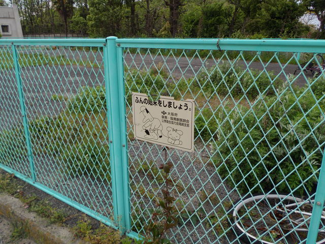 c0001670_2301971.jpg