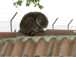 初めての動物園_a0169172_2032321.jpg