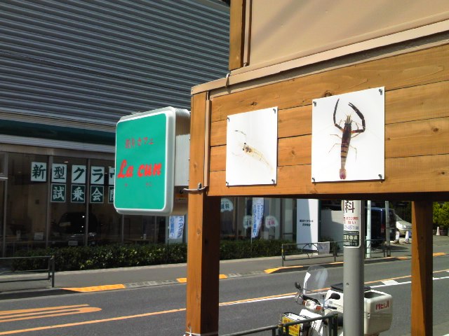 中央区立城東小学校は東京駅八重洲口を出てすぐ。_e0161872_2321448.jpg