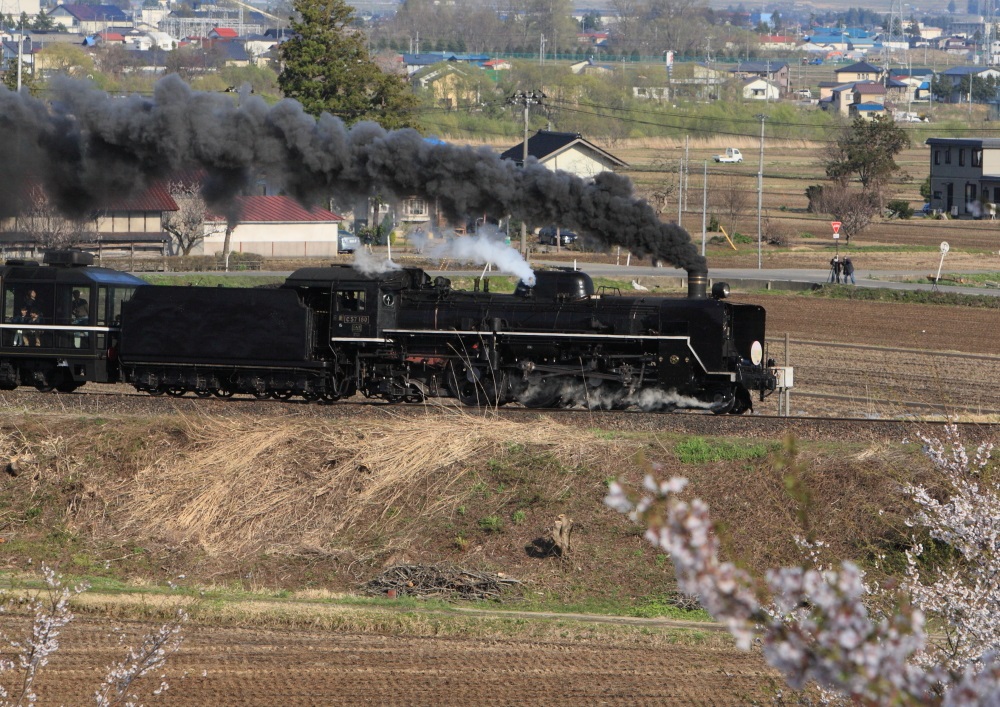 SLばんえつ物語号　SLと桜を求めて　＜４＞FINAL 喜多方市　２０１３・０４・２８_e0143883_2047589.jpg