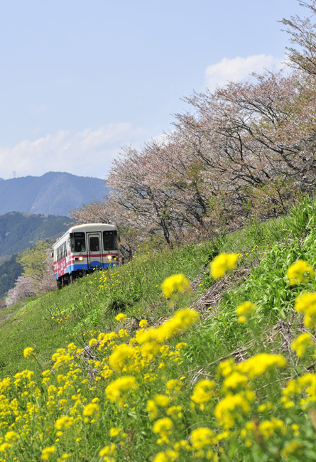 13年 春の樽見鉄道 木知原駅にて 旅するように暮らす