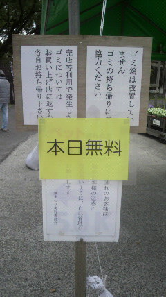 a0168186_542531.jpg