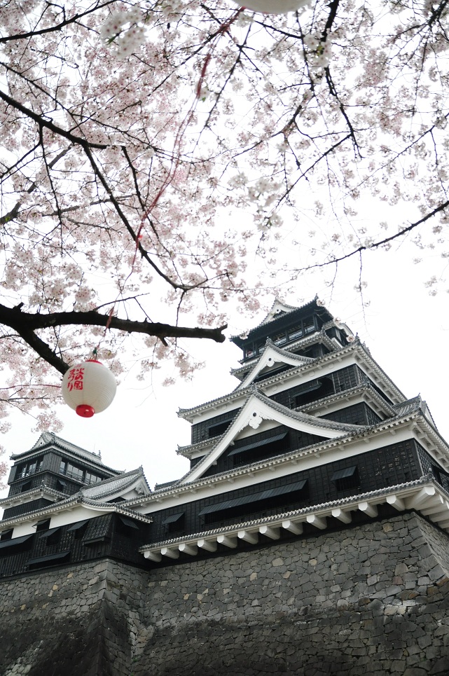 桜の熊本城に行ってきた!!＠熊本*1_e0244492_20404764.jpg