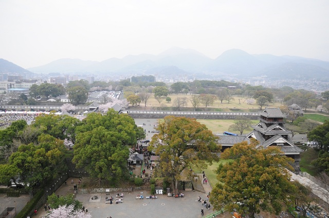 桜の熊本城に行ってきた!!＠熊本*1_e0244492_20484871.jpg