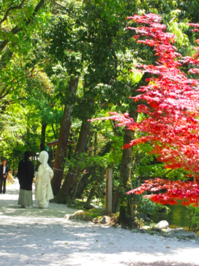 初夏の京都旅　〜その１２・上賀茂神社〜_a0146493_16275377.png