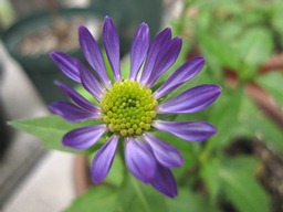 c0117898_18295275.jpg