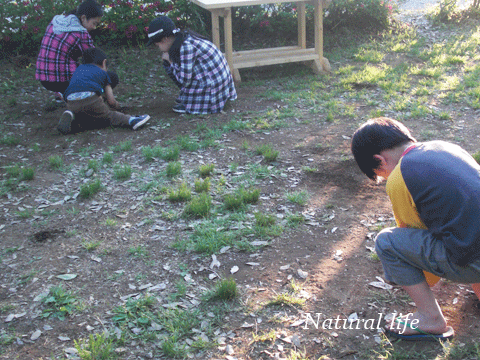 b0162000_12512549.gif