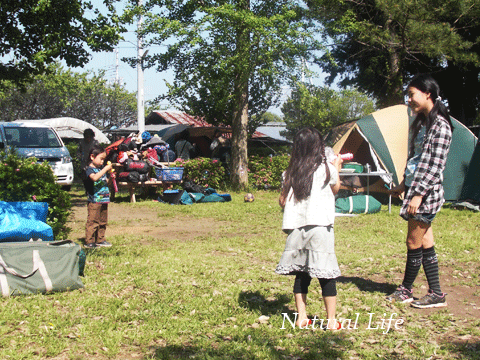 b0162000_1251651.gif