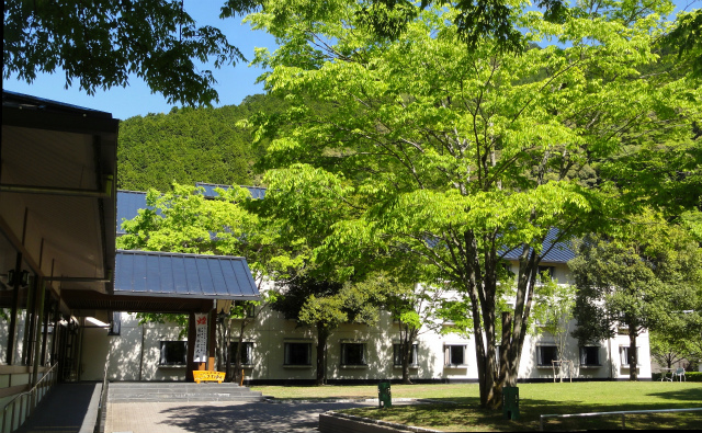 c0125501_15421971.jpg