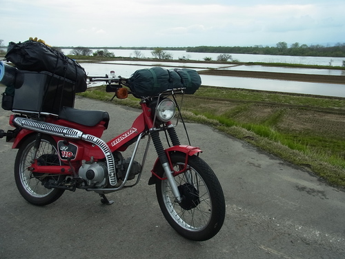 e0243008_52156.jpg