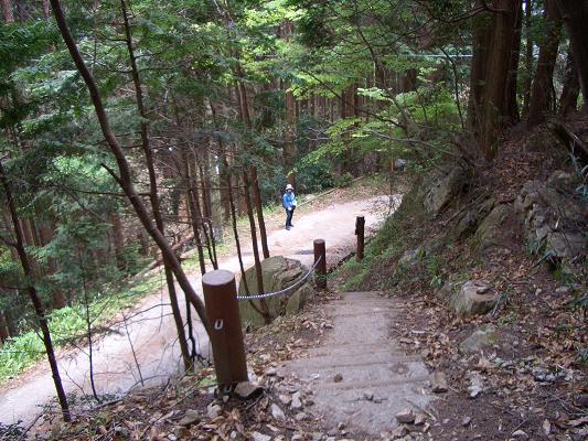 大阪ウオーキング連合　鳥見山から初瀬ダム_d0288411_211139.jpg