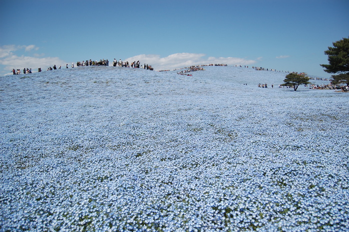 f0224512_21453545.jpg