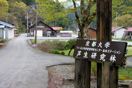 京大演習林_e0048413_20343925.jpg