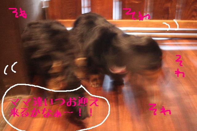 こんばんわぁ～～～！！_b0130018_23261328.jpg