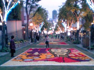 INFIORATA_a0112220_213327.jpg