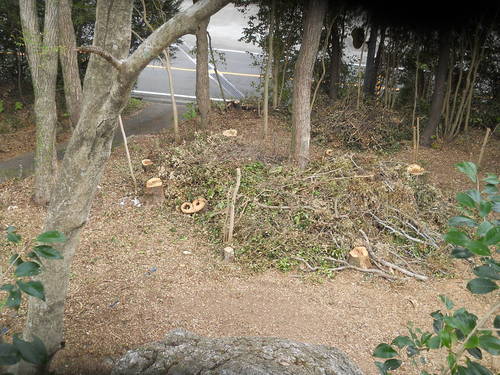 e0138321_1491230.jpg